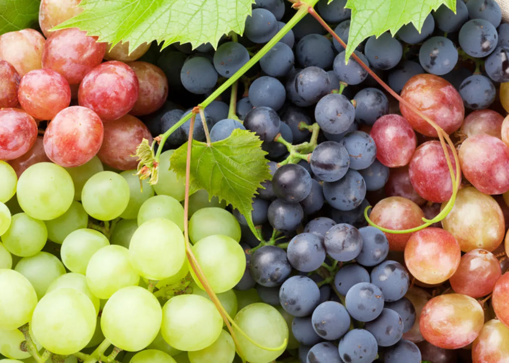 Seedless Grapes
